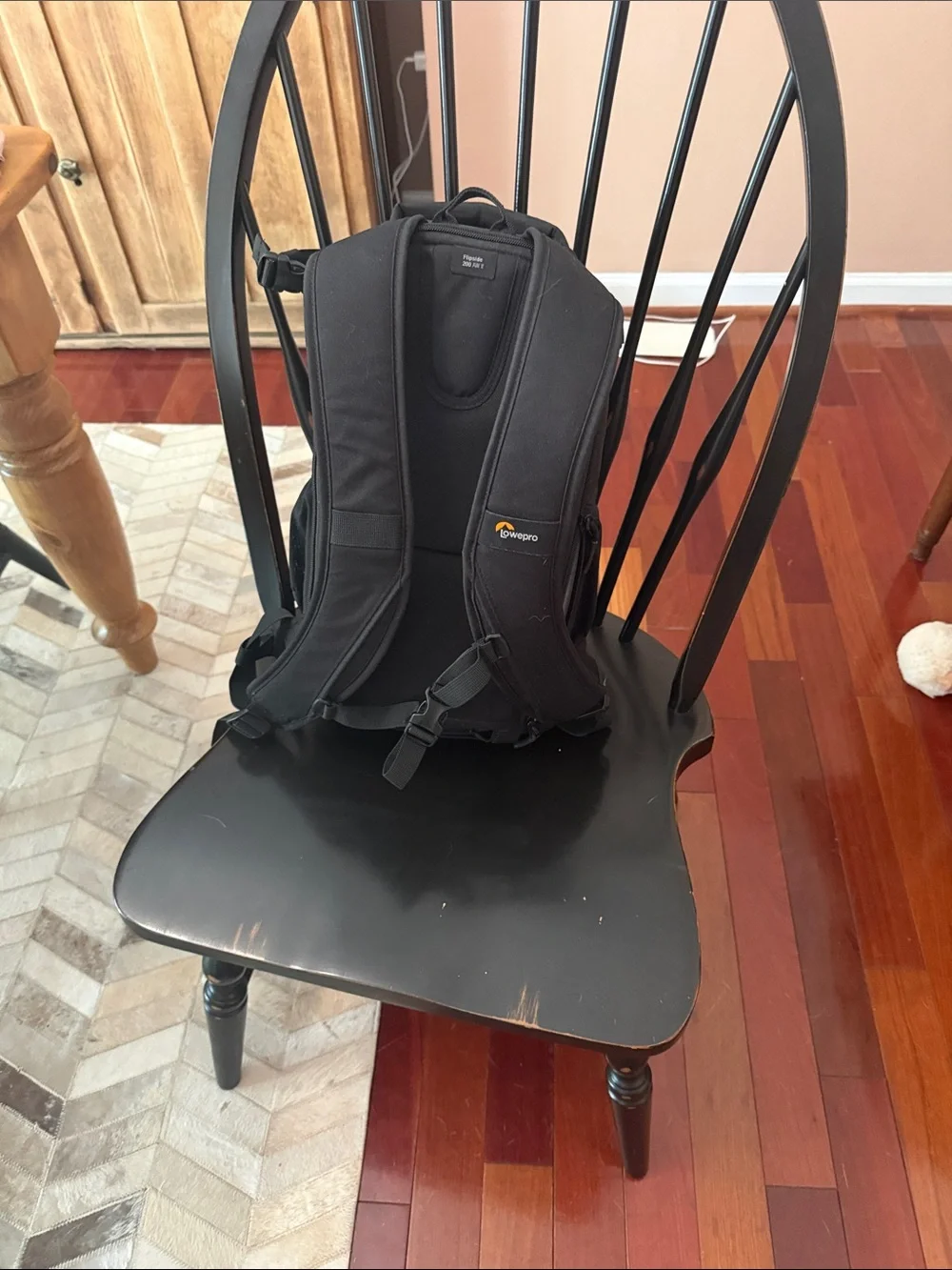 Lowepro Flipside AW II  Camera Backpack